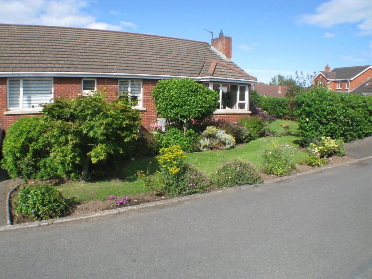 The Lantern Bed and Breakfast Donaghadee Buitenkant foto